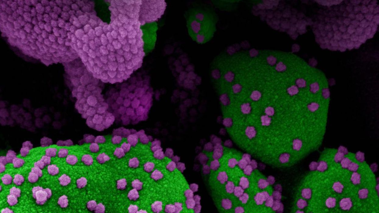BREAKING: US identifies first case of Omicron variant; patient was fully vaccinated