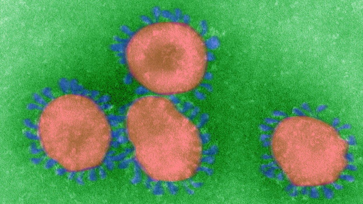 British university scientists say common cold could provide protection against COVID-19