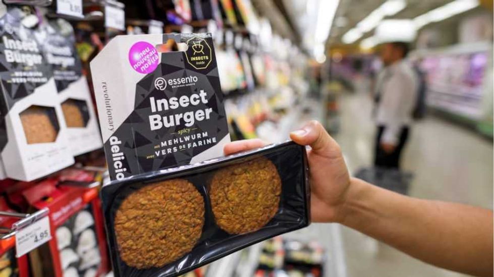 Bugs for thee, beef for me: How big business monopolizes meat