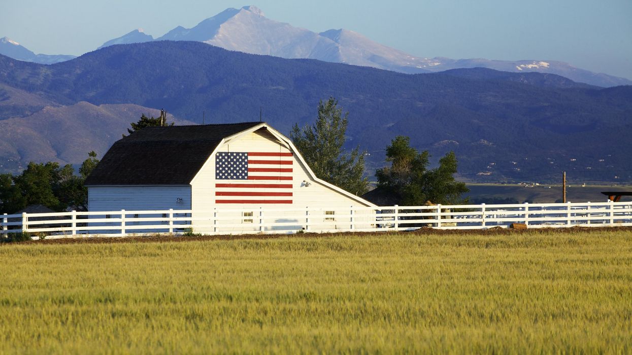 Build back better? Then stop outsourcing our agricultural soul