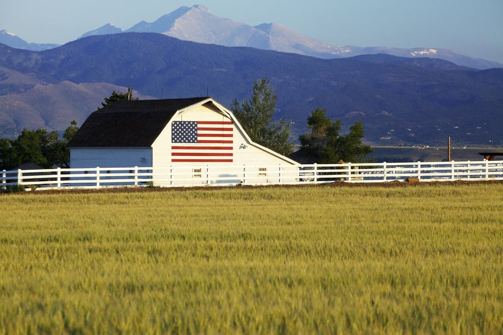 Build back better? Then stop outsourcing our agricultural soul