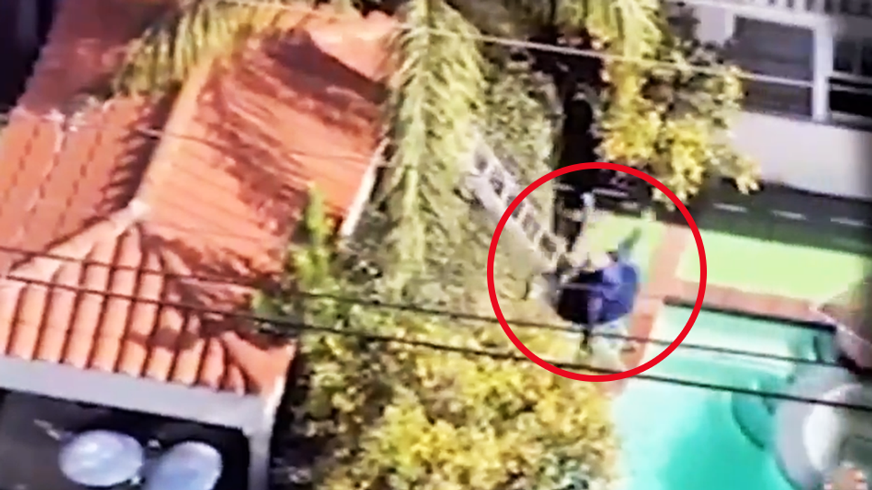 Burglary suspect attempts pathetic escape, falls off ladder into pool, is later found hiding in the yard by police