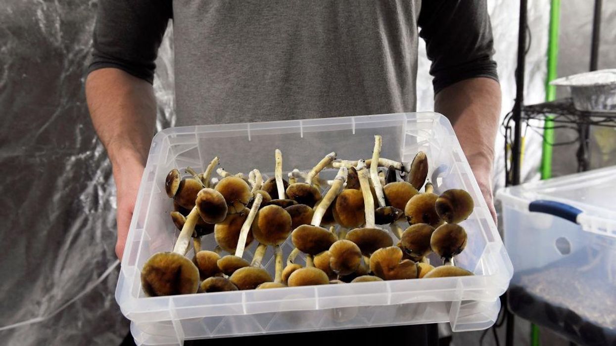 California bill looks to legalize magic mushrooms, other powerful psychedelics
