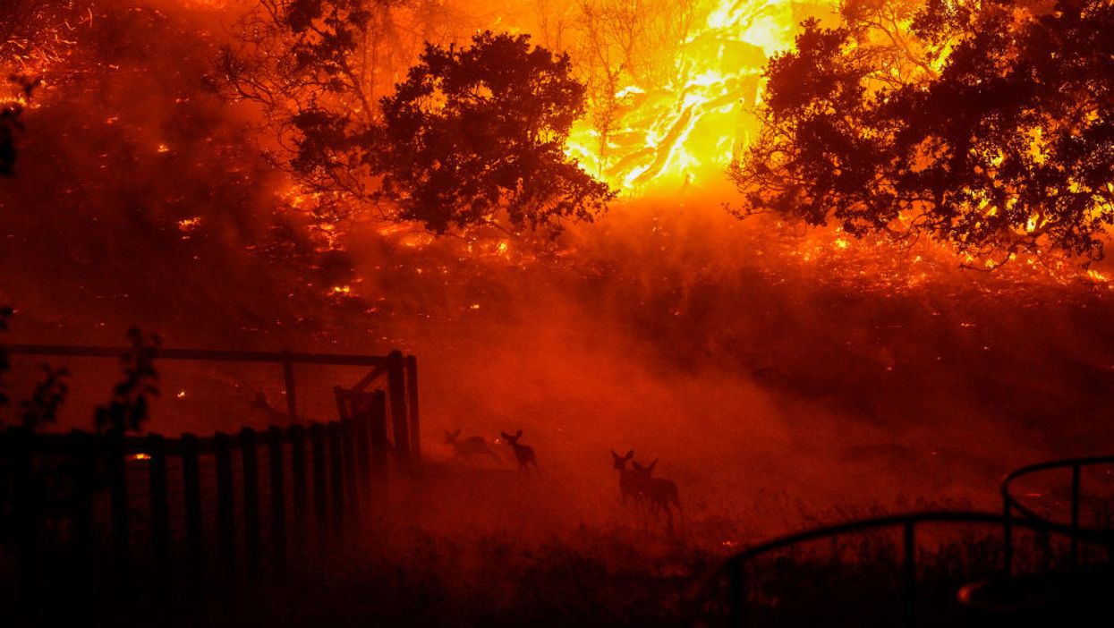 California environmental professor argues 'white supremacy' is the cause of wildfires and hurricanes