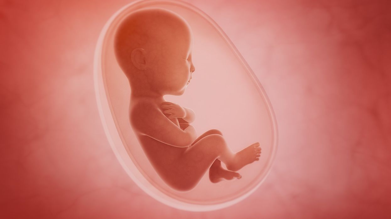 Can science birth artificial wombs? Lab-grown babies raise major ethical concerns