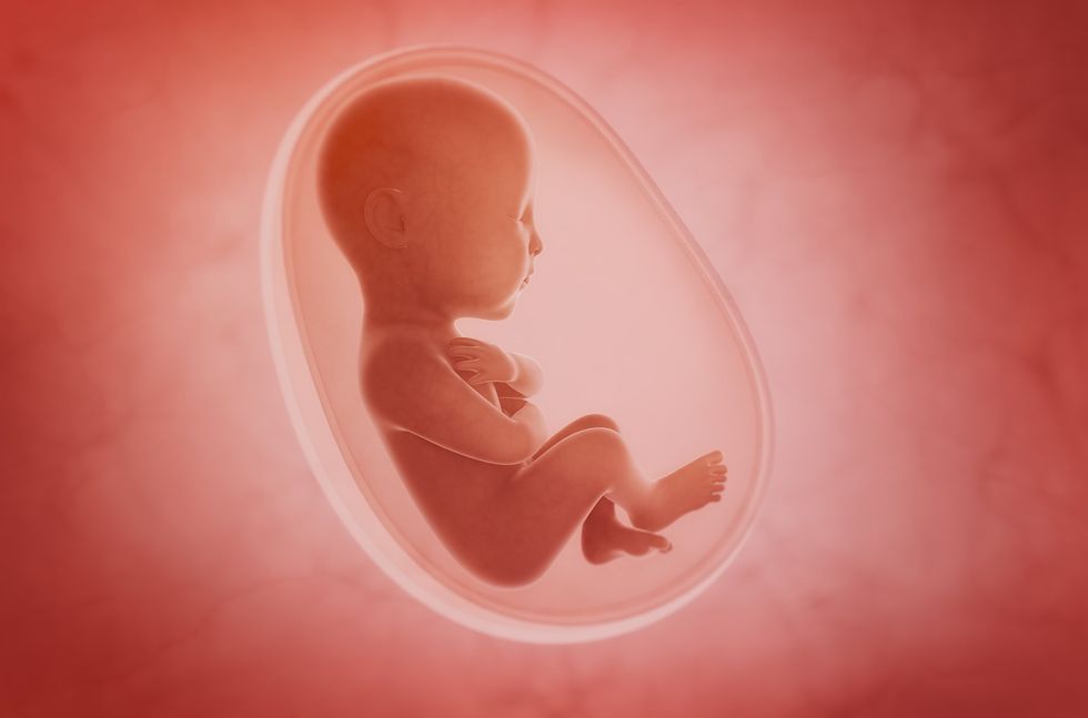 Can science birth artificial wombs? Lab-grown babies raise major ethical concerns