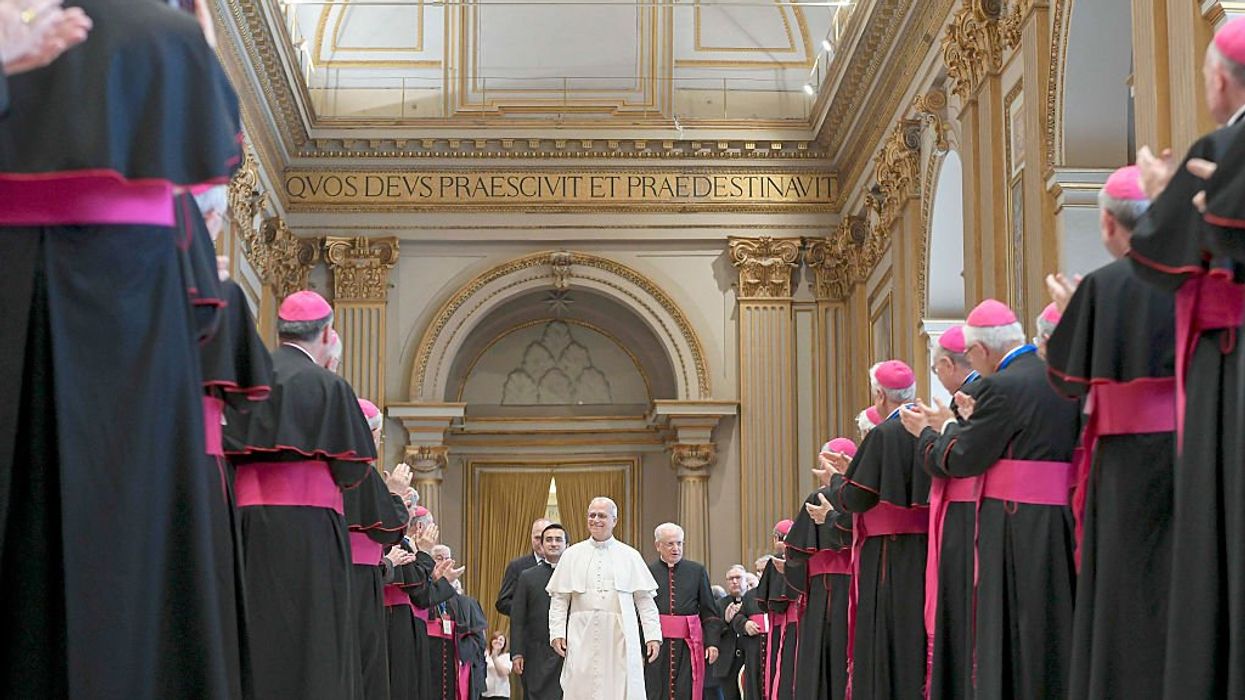 Cardinal Burke calls for an end to 'persecution from within the Church'