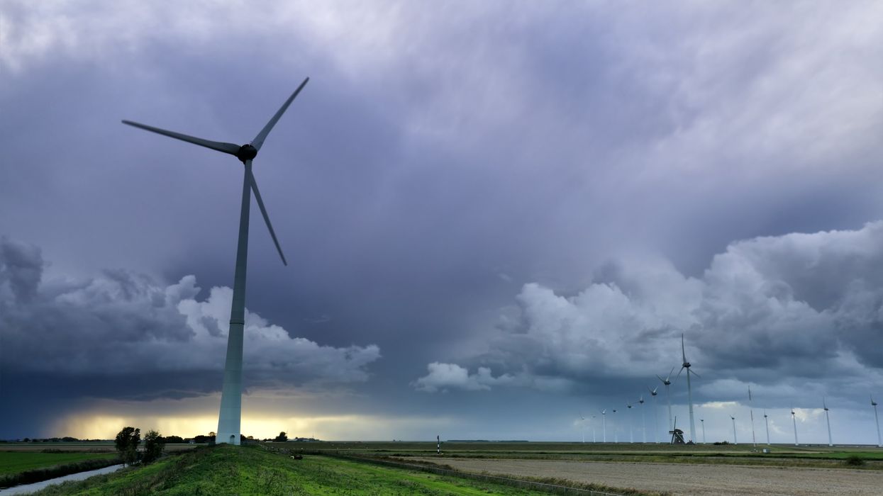 Celebrity-backed climate change finance company is bankrupt after Democrat-linked co-founder arrested for $145M fraud scheme