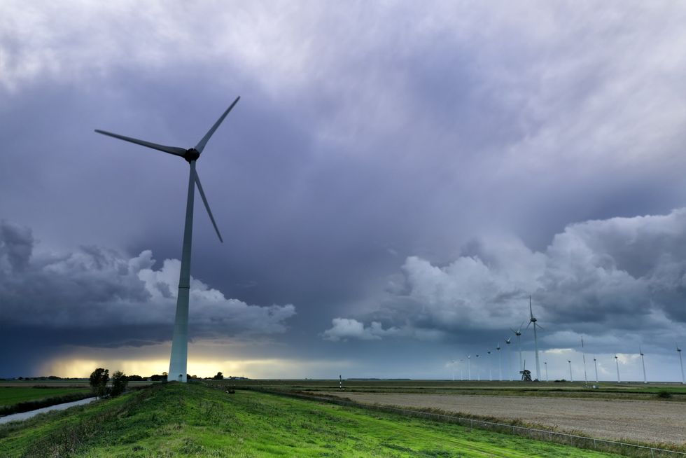 Celebrity-backed climate change finance company is bankrupt after Democrat-linked co-founder arrested for $145M fraud scheme