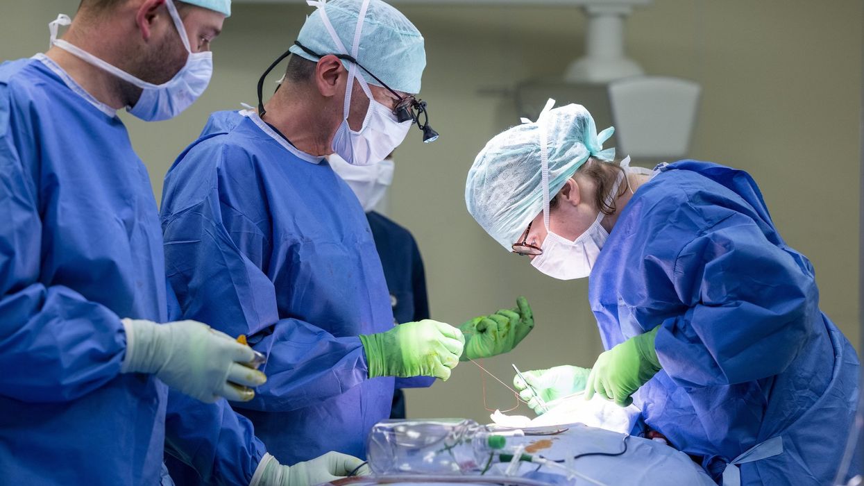 Children's hospital community activist suggests live womb transplants can allow transgender women to give birth