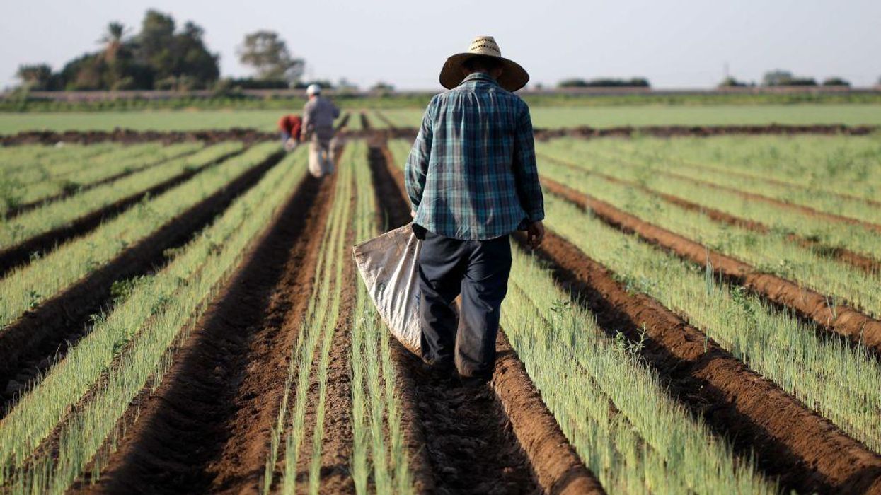 Chinese investors own 384K acres of US agricultural land: Report