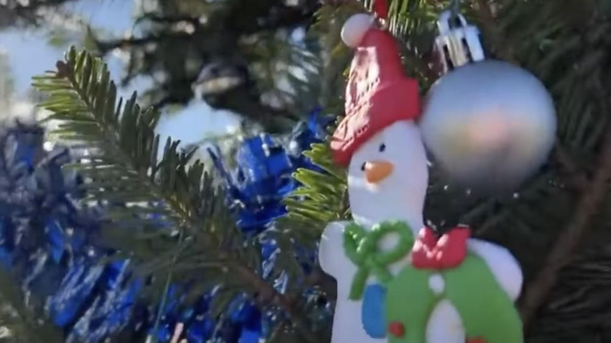 Christmas trees now allowed in Massachusetts town's public libraries after massive pushback. Last year some folks allegedly were 'uncomfortable' with them.