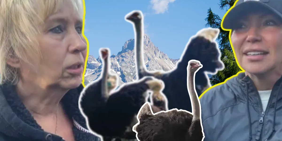 āClassic display of punishmentā: Canada targets family ostrich farm for destruction āClassic display of punishmentā: Canada targets family ostrich farm for destruction