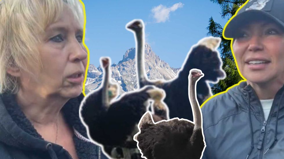 ‘Classic display of punishment’: Canada targets family ostrich farm for destruction