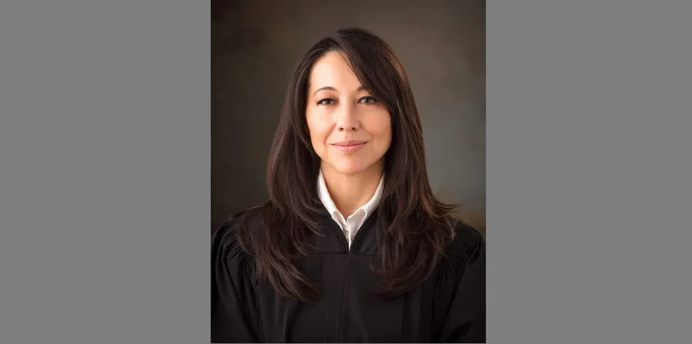 'Clear example of judicial activism': Judge gives Democrats a boost with congressional map in red state