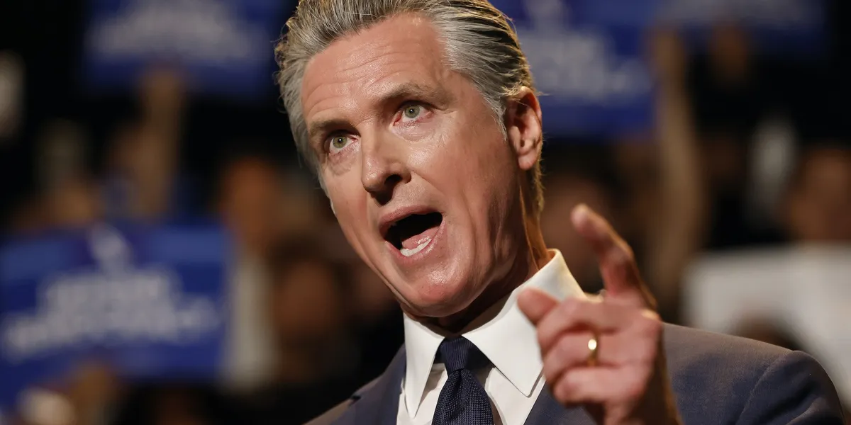 CNN analyst says Gavin Newsom’s social media strategy is working because Dems want a ‘fighter’ CNN analyst says Gavin Newsom’s social media strategy is working because Dems want a ‘fighter’