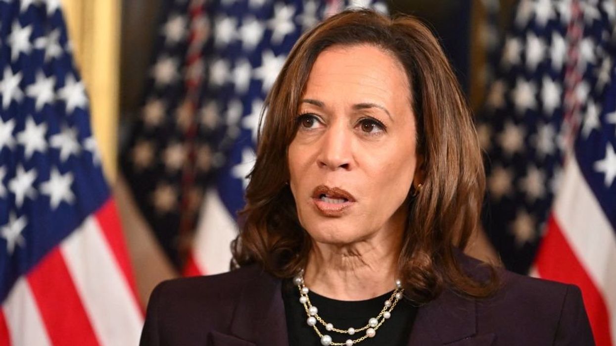 CNN anchor relays insult against black men after they answer taboo question about Kamala Harris: 'Low-information voters'