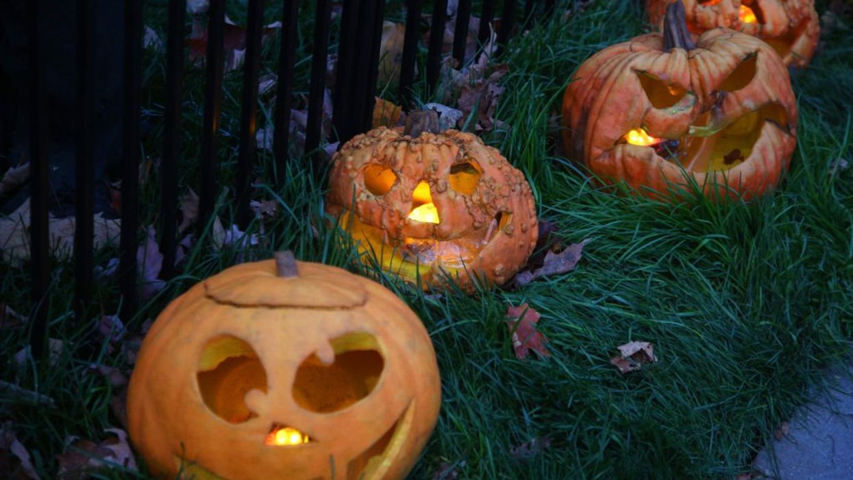 CNN warns: Jack-o'-lanterns are a 'big cause of climate change' and contain water that we 'never' get back