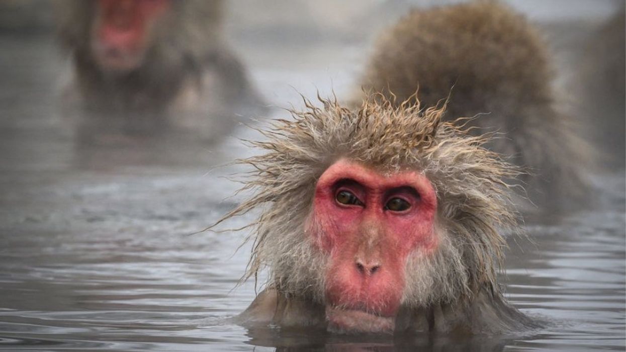 Cold plunge: How I survive winters in the sticks