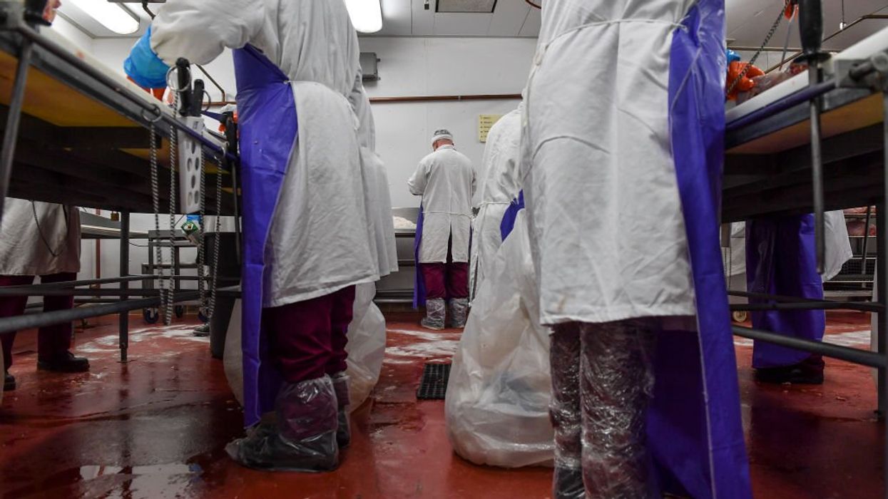 Company hired minors to clean 'saws, headsplitters, jawpullers' at slaughtering and meat packing plants: DOL
