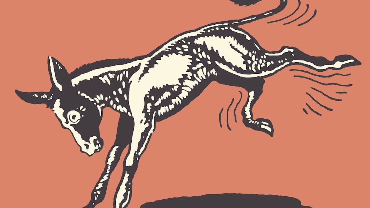 Complacency is killing the GOP — and Democrats are seizing the moment