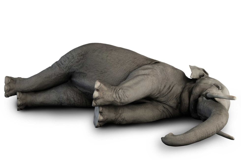 Conservatives face a choice in ’26: realignment or extinction