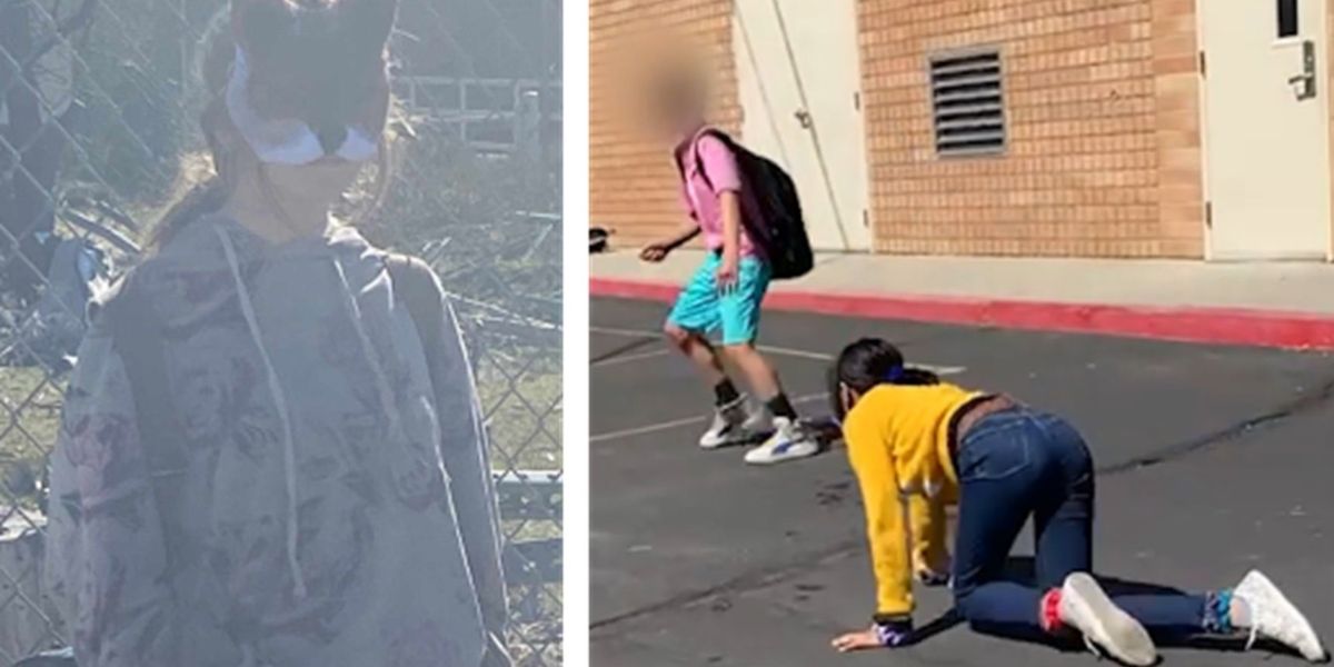 Contrary to Salt Lake Tribune 'fact-check,' photos and videos appear to ...