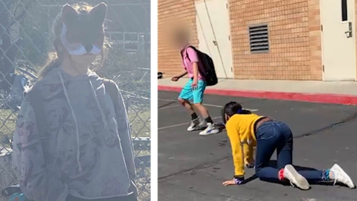 Contrary to Salt Lake Tribune 'fact-check,' photos and videos appear to show multiple students dressed and behaving as furries at Utah school