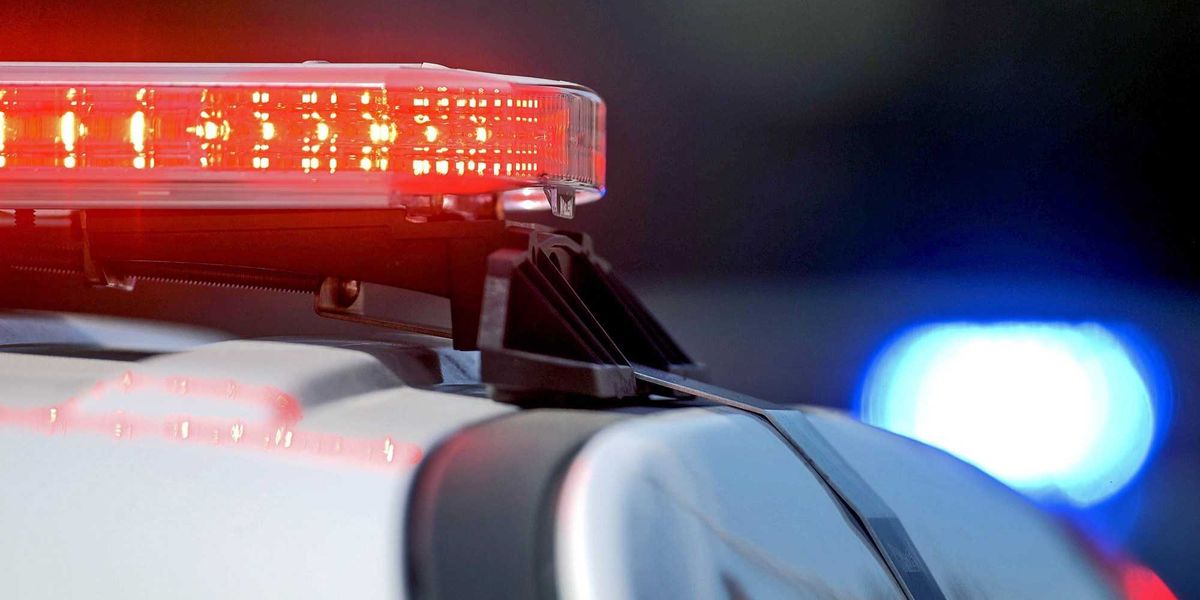 Cops shocked to recognize woman complaining about police to city council: 'Lady, you're wanted by the police!'