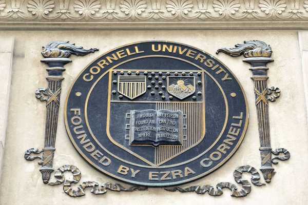 Cornell president accused of hitting students with his car — he says they were harassing him after Israel-Palestine debate