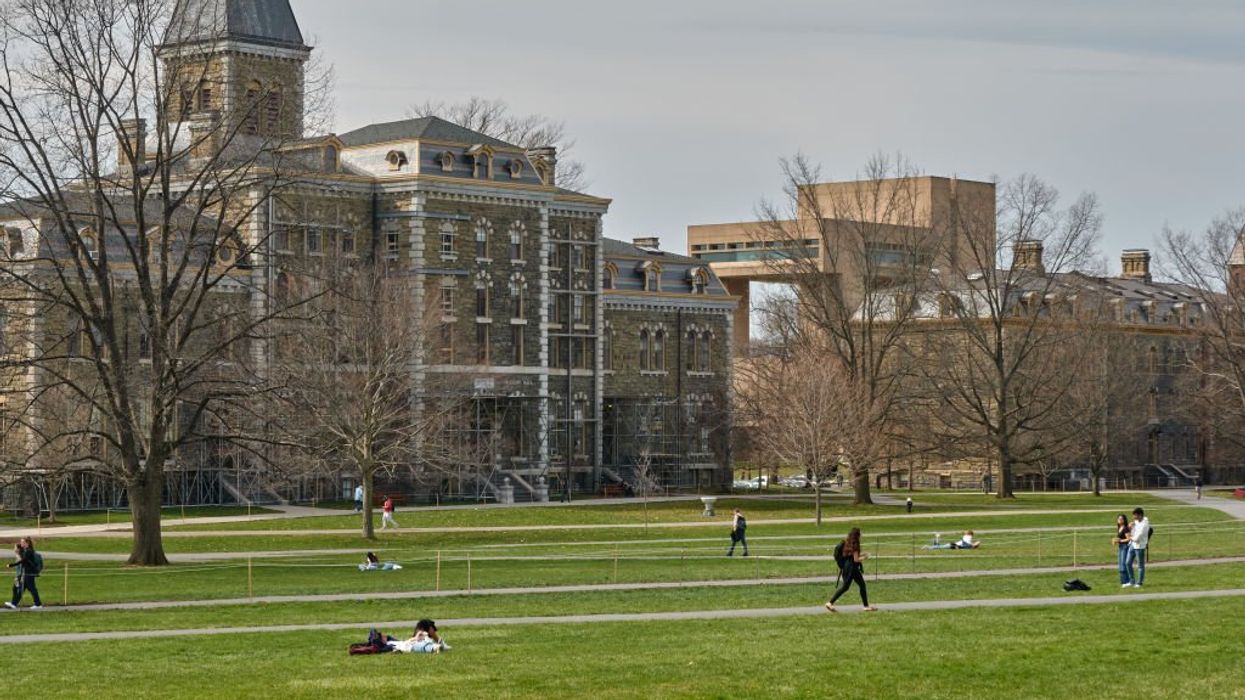 Cornell professor says faculty is 'extremely anti-Israel,' calls on board to pause DEI efforts on campus