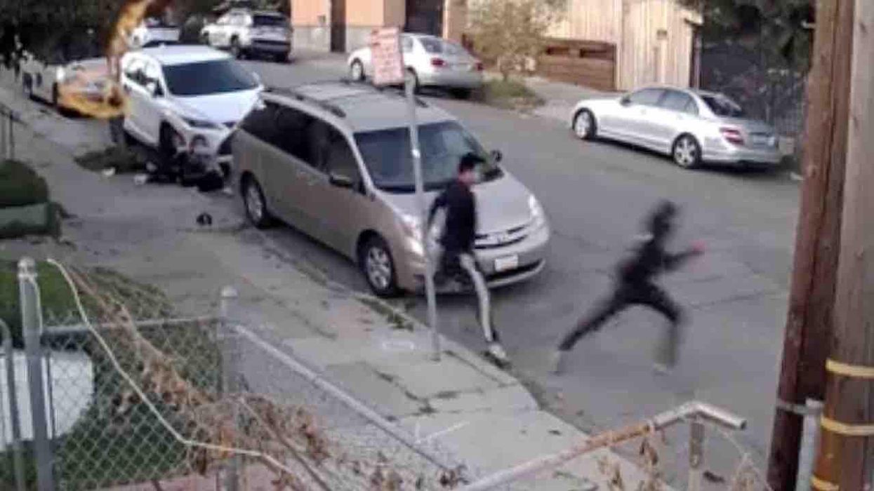 Crook caught on video trying to snatch woman's purse in broad daylight. But victim's son, daughter spring into action, fight off crook, chase him away.
