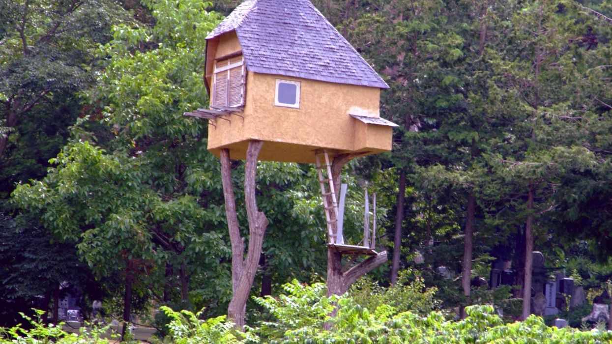 Dad makes headlines with letter to HOA ‘Karen’ who forced him to tear down his kids’ treehouse: ‘Don’t worry, you’re safe now!’