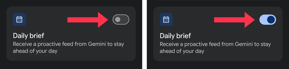 Daily Brief Toggle