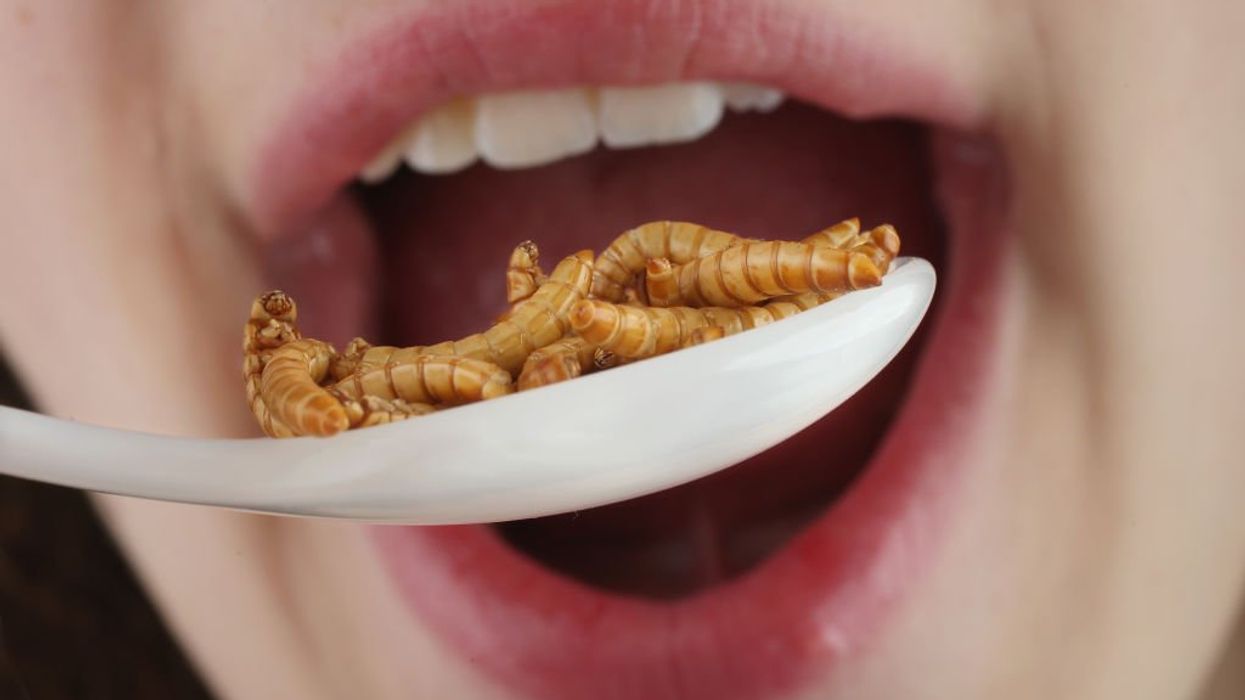 'Dark climate change religion': Middle school teacher feeds sixth-graders bugs and climate alarmist propaganda