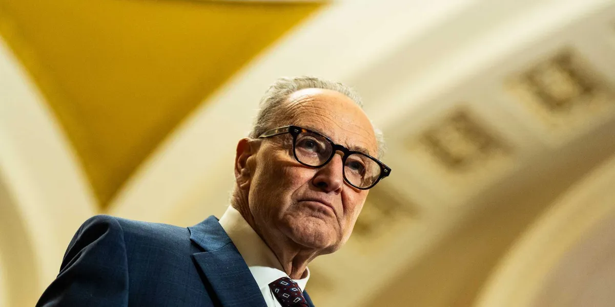 'Dead on arrival': Chuck Schumer says Dems will 'go all out' to defeat voter ID bill