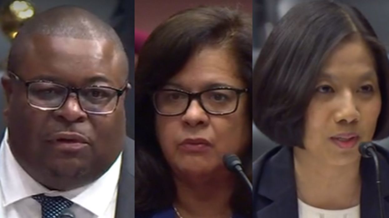 Dem witnesses dodge when asked whether only citizens should be allowed to vote in federal elections
