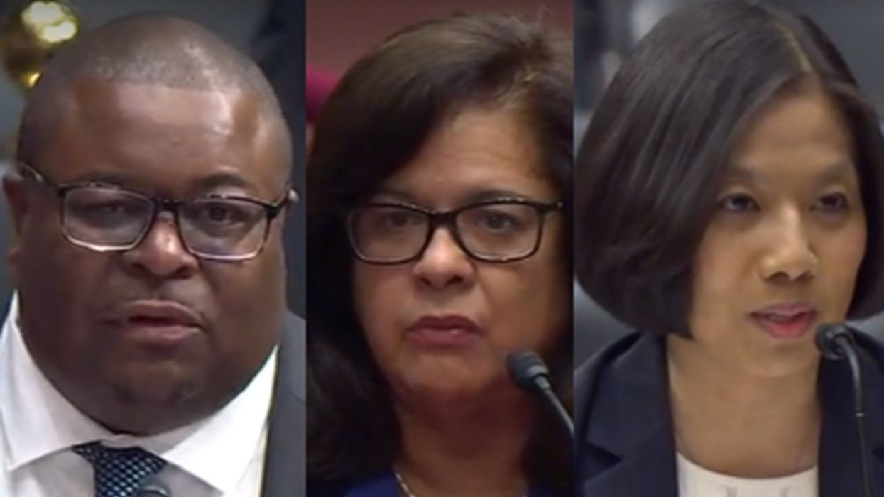 Dem witnesses dodge when asked whether only citizens should be allowed to vote in federal elections
