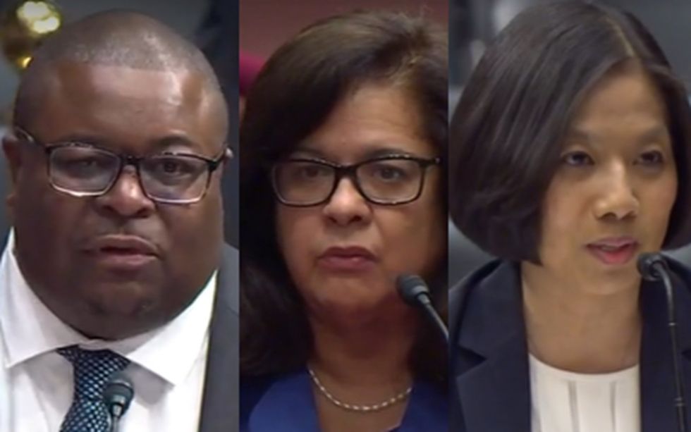 Dem witnesses dodge when asked whether only citizens should be allowed to vote in federal elections
