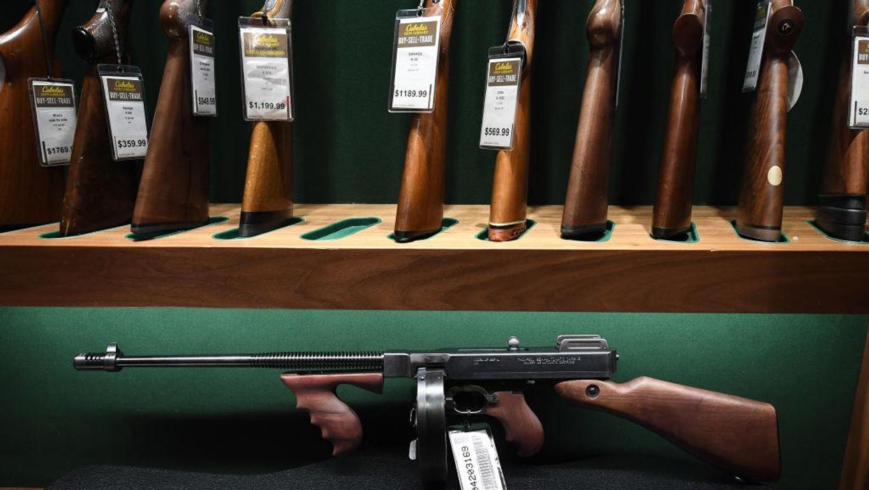 Democratic bill would create public registry of gun owners, their guns, and where they keep them
