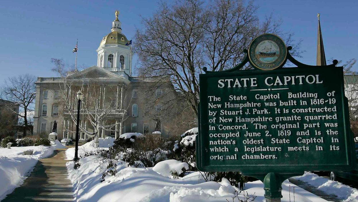 Democrats had major plans to flip state legislatures this year as redistricting looms. They failed ... bigly.