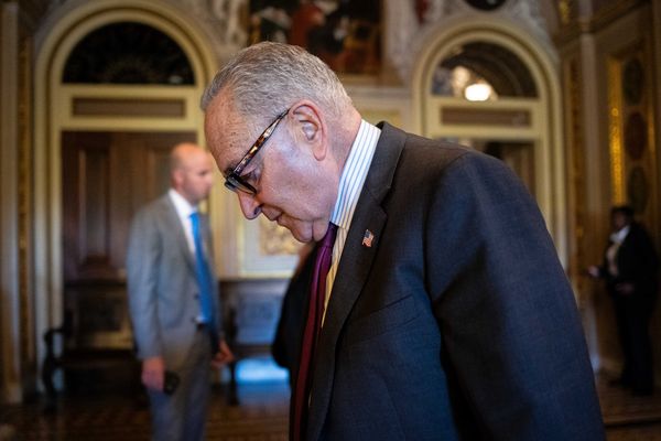 Democrats halt half the country’s food aid programs over shutdown stalemate