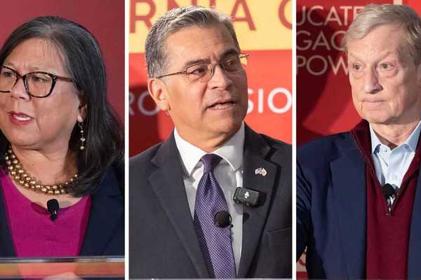 Democrats narrow field in California’s crowded gubernatorial race to avoid primary disaster