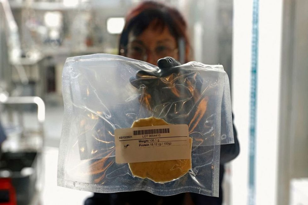 DeSantis’ ban on lab-grown meat is peak culture war