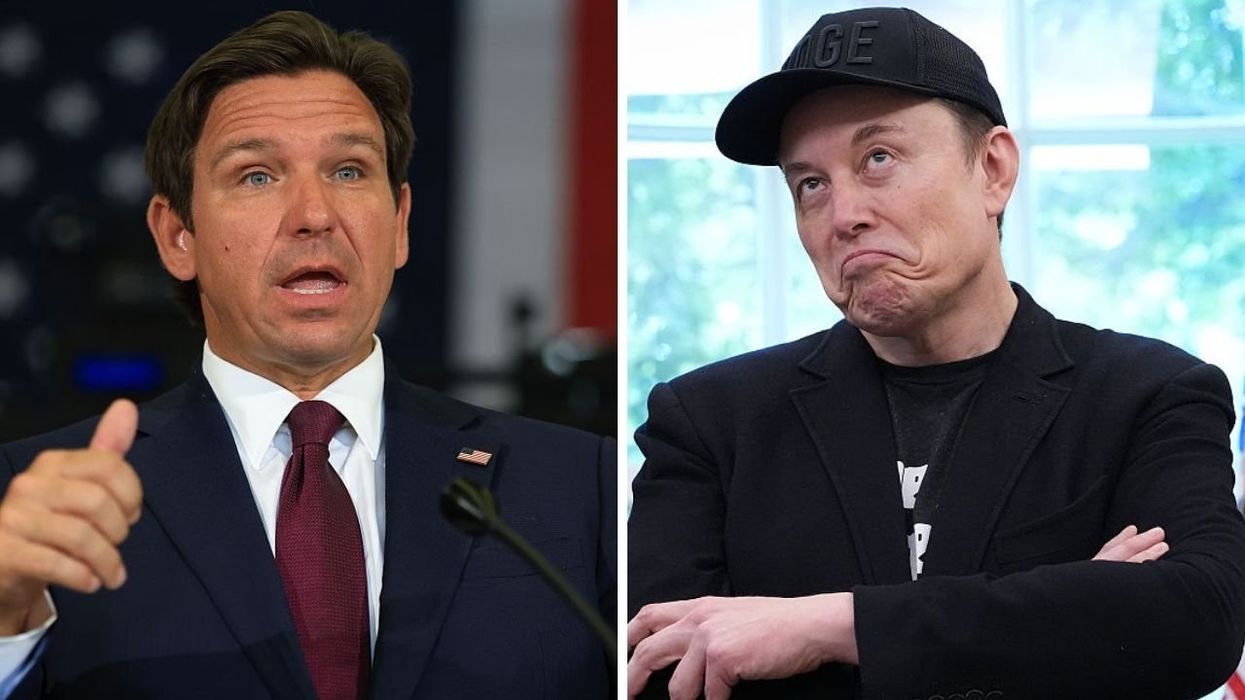 DeSantis has some serious political advice for Elon Musk to ensure a 'monumental impact'