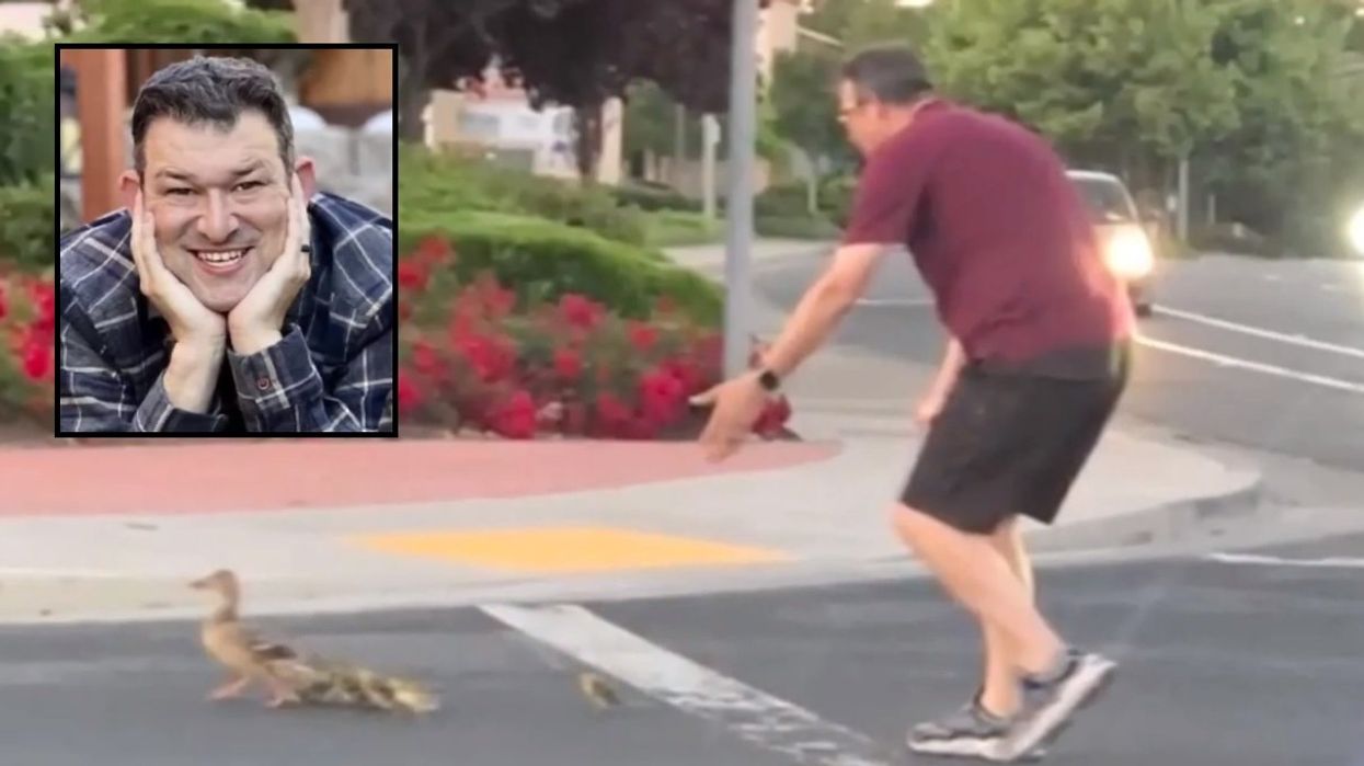 Devoted father dies helping ducks cross busy street