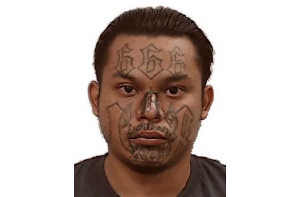 DHS fires back at 'absurd' CBS report on 'nonviolent' illegal aliens by citing horrific cases