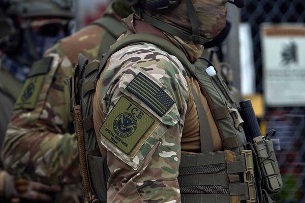 DHS: Illegal alien shot after ramming federal vehicle during operation