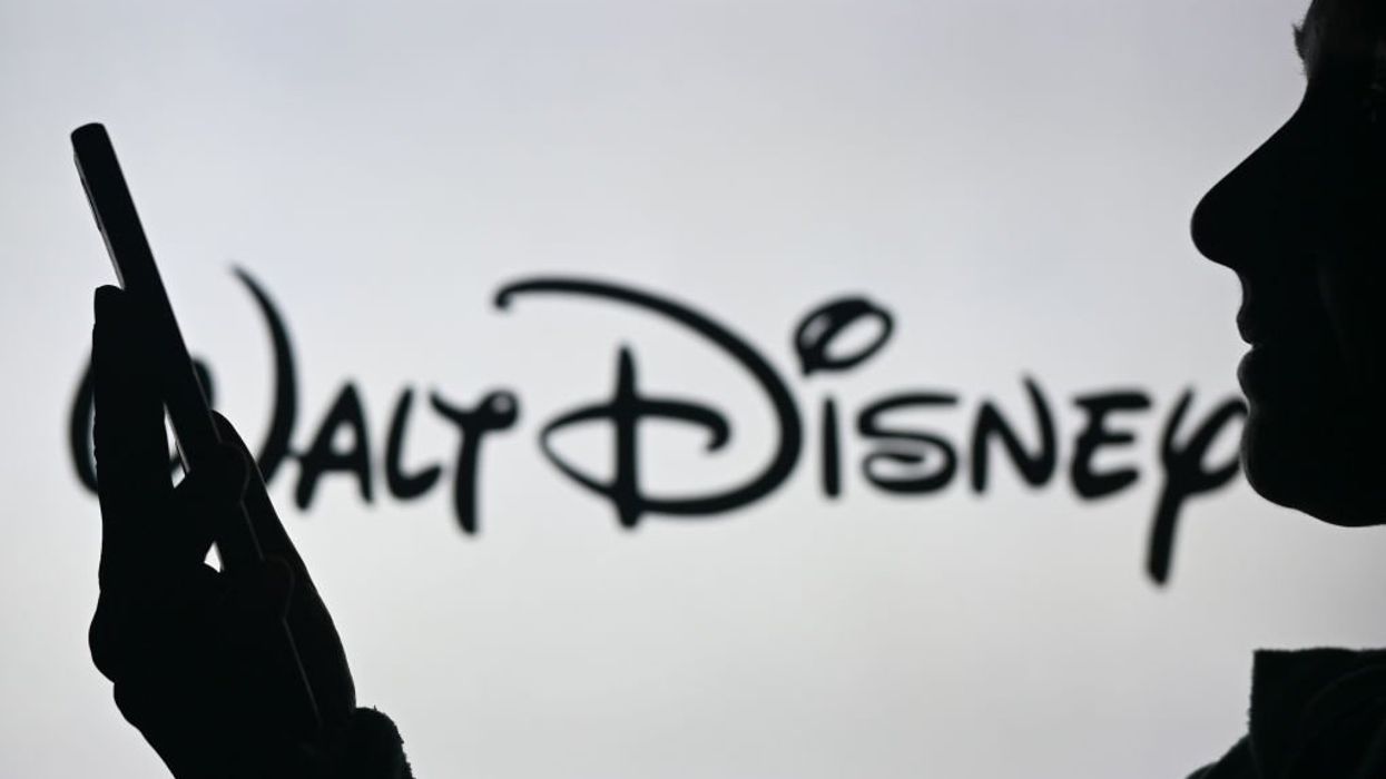Disney, Kohl's, other woke companies are disguising their DEI schemes: Report
