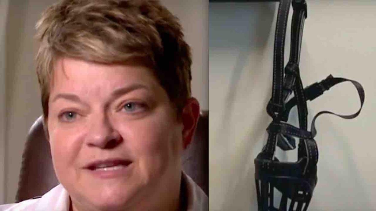 Dog muzzle sent to TN vaccine official as alleged threat before her controversial firing was purchased with her credit card — but she denies buying it